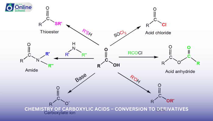 Lesson 03: Chemistry of Carboxylic Acids – Conversion to Derivatives